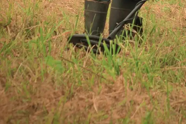 Azerbaycan’da mayın temizleme çalışmalarına ilişkin veriler açıklandı