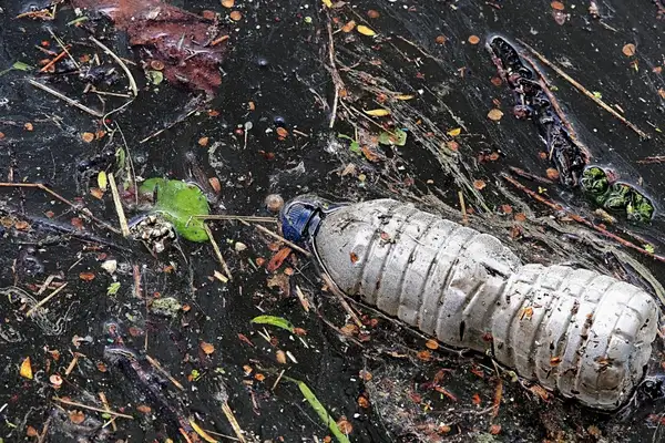 Sıfır Atık Projesi’nin uluslararası ödül sayısı 7’ye ulaştı