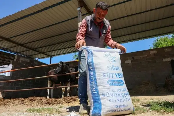 Çerçioğlu’ndan Germencik’te küçük üreticilere yem desteği
