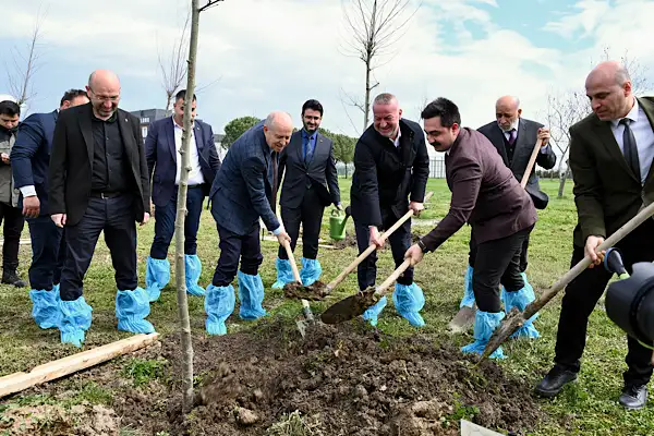 Karacabey’de Bursa’nın Fethi 700. yılına özel çınar fidanları dikildi