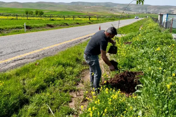 Batman’da 7 köy yoluna 3 bin 300 meyve fidanı dikildi