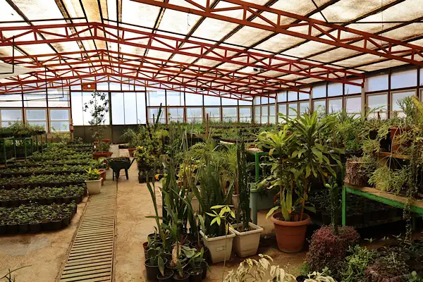 Marmaris'te seralar üretimle 23 milyon TL tasarruf sağladı