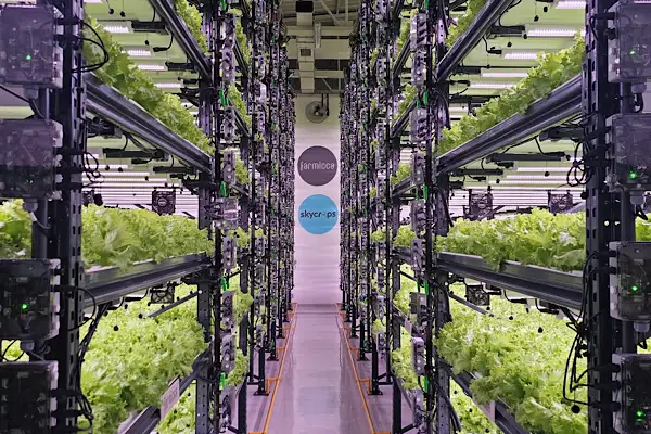 Farmicca’dan tarımda verimlilik ve teknoloji vurgusu