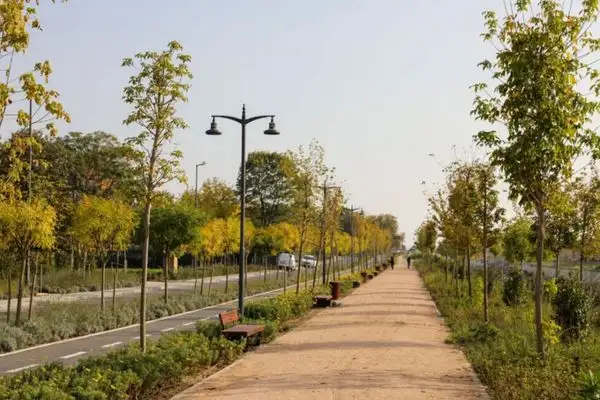 Ayamama Yaşam Vadisi, Eurocities Awards 2026’da finale kaldı