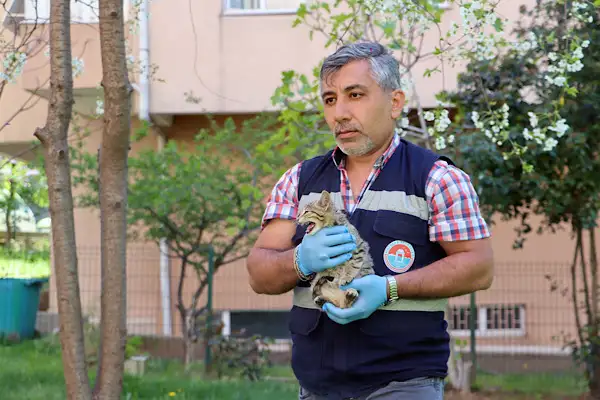 Maltepe’de sokak kedilerine yönelik sağlık taraması yapıldı