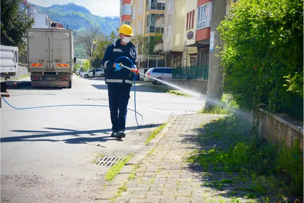Giresun’da kahverengi kokarcaya karşı ilaçlama başladı