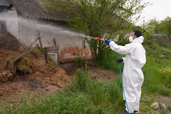 Düzce’de larva ve uçkun ile mücadele çalışmaları sürüyor