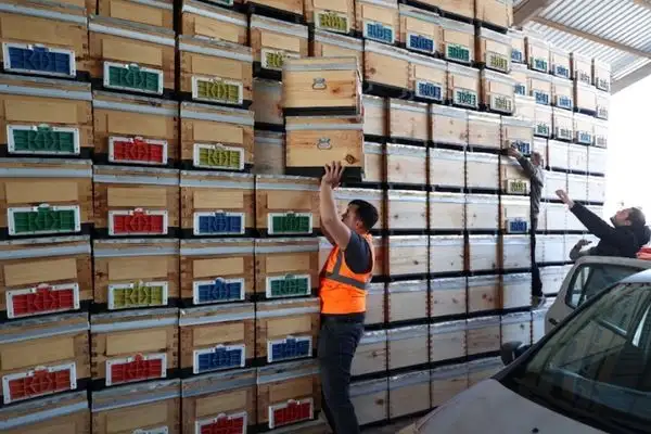 Büyükşehirden arıcılığa kovan desteği