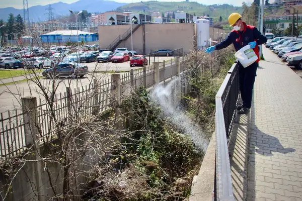 Giresun'da ilaçlama çalışmaları sürüyor