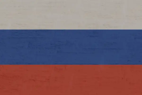 Rusya Büyükelçiliği: Likhachev Akkuyu’da incelemelerde bulundu