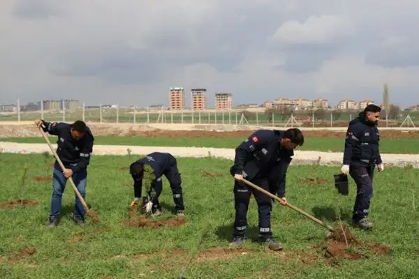 Eskişehir’de evlenen çiftler adına fidan dikiliyor