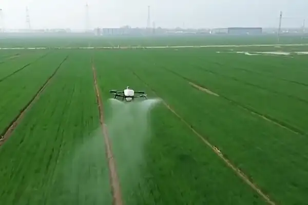 Çin’in tarım ve kırsal ekonomisi yılın ilk çeyreğine güçlü başladı