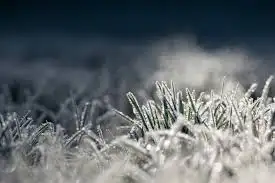 Meteoroloji'den zirai don ve çığ uyarısı