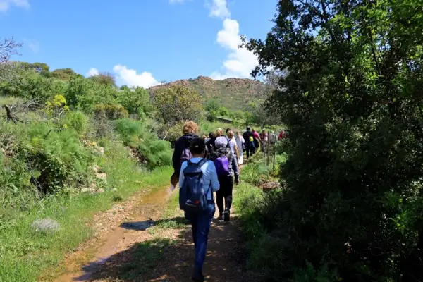 Bodrum'da kültür ve doğa yürüyüşleri devam ediyor 
