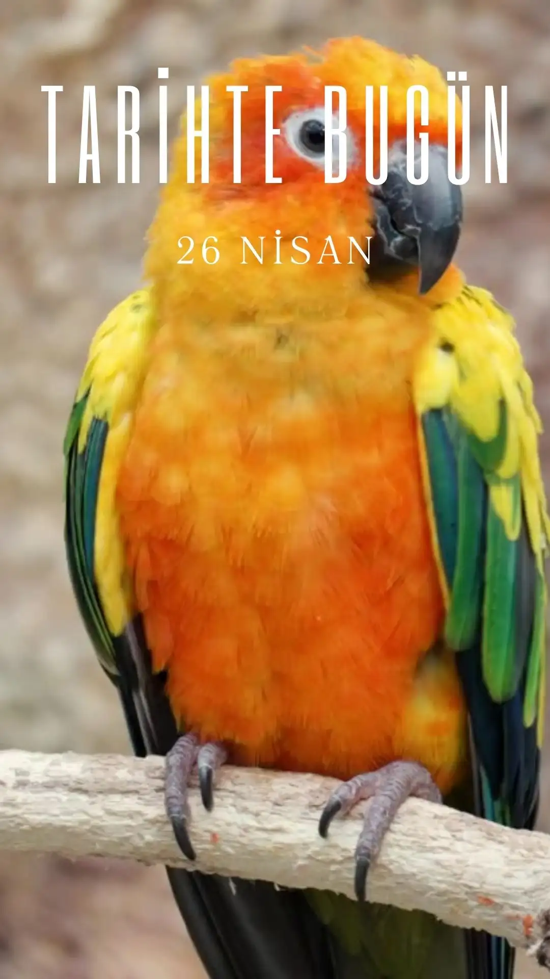 TARİHTE BUGÜN KÖŞESİ 26 NİSANDA TARİHTE NELER OLDU