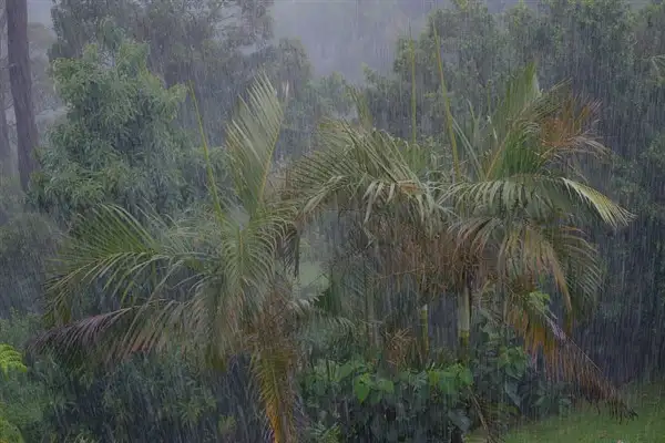 Meteoroloji’den kuvvetli yağış uyarısı