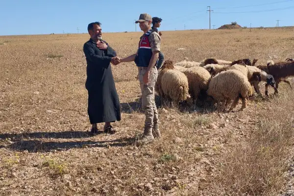 Şanlıurfa’da kayıp 17 küçükbaş hayvan bulundu