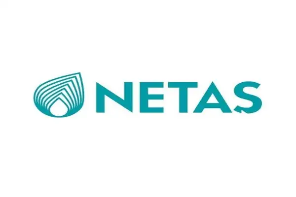 Netaş'ın ilk çeyrek faaliyet raporu