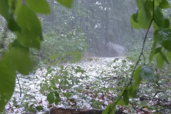 Meteoroloji’den kuvvetli yağış ve rüzgar uyarısı