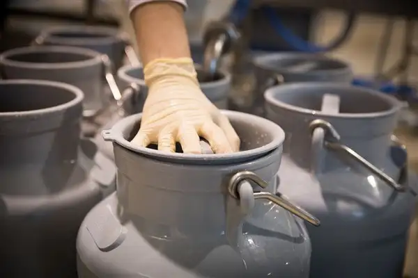 TÜİK- Çiğ süt üretimi 2025 yılında yüzde 4,9 azaldı