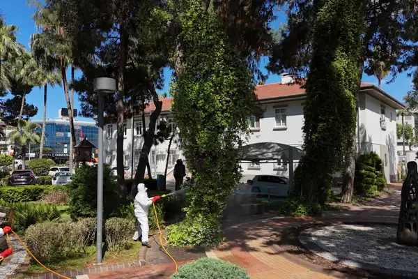 Alanya’da Akdeniz çam kabuk böceğine karşı ortak mücadele başlatıldı