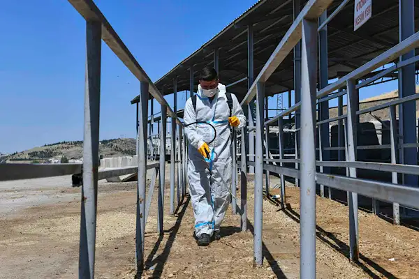 Ankara’da Kurban Bayramı hazırlıkları tamamlandı
