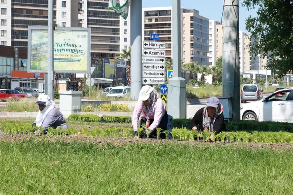 Osmangazi’de yazlık çiçek dikim çalışmaları başlatıldı