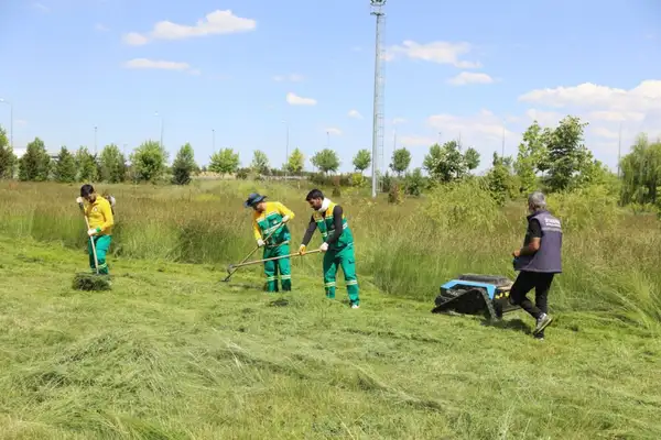 Diyarbakır’da ot biçme robotları sahaya indi