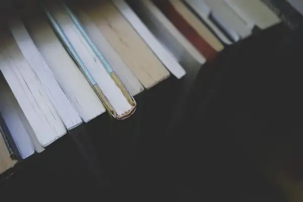 TÜİK- Kitap sayısı 117 milyon 981 bin 58 oldu