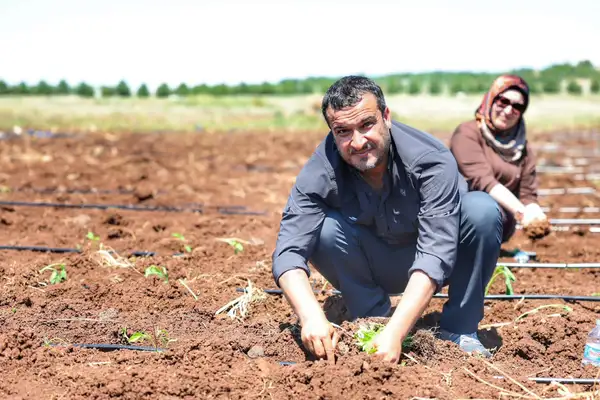 Kayapınar’da 20 dönümlük tarım komününde ekim başladı