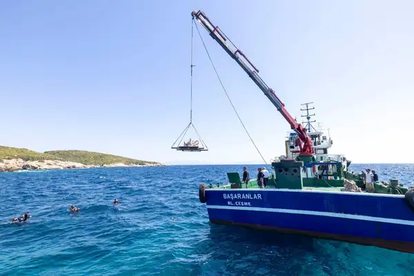 İzmir’de midye kabuklarından üretilen yapay resifler denizle buluştu