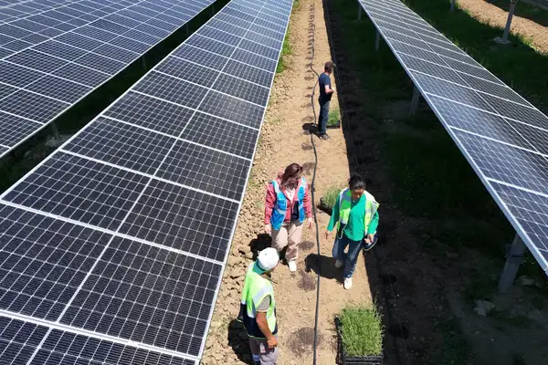 Samsun'da GES’le çiftçiler için tarım ve enerji bir arada