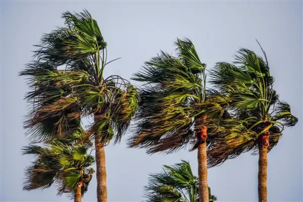 Meteoroloji'den kuvvetli rüzgar uyarısı