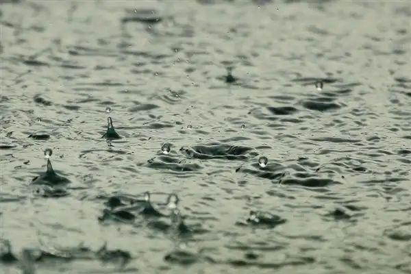 Meteoroloji'den kuvvetli yağış ve rüzgar uyarısı