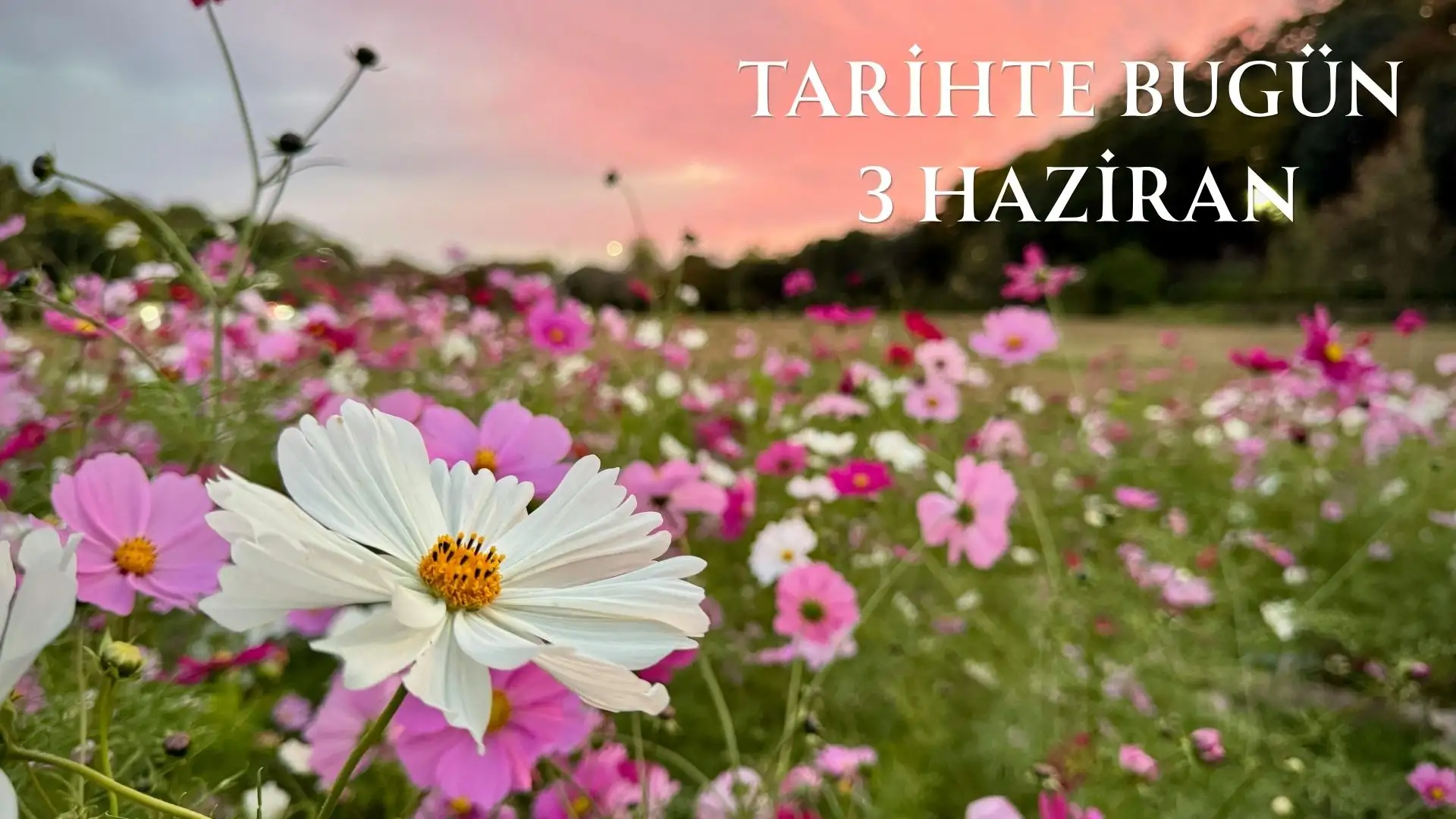 TARİHTE BUGÜN KÖŞESİ 3 HAZİRANDA TARİHTE NELER OLDU