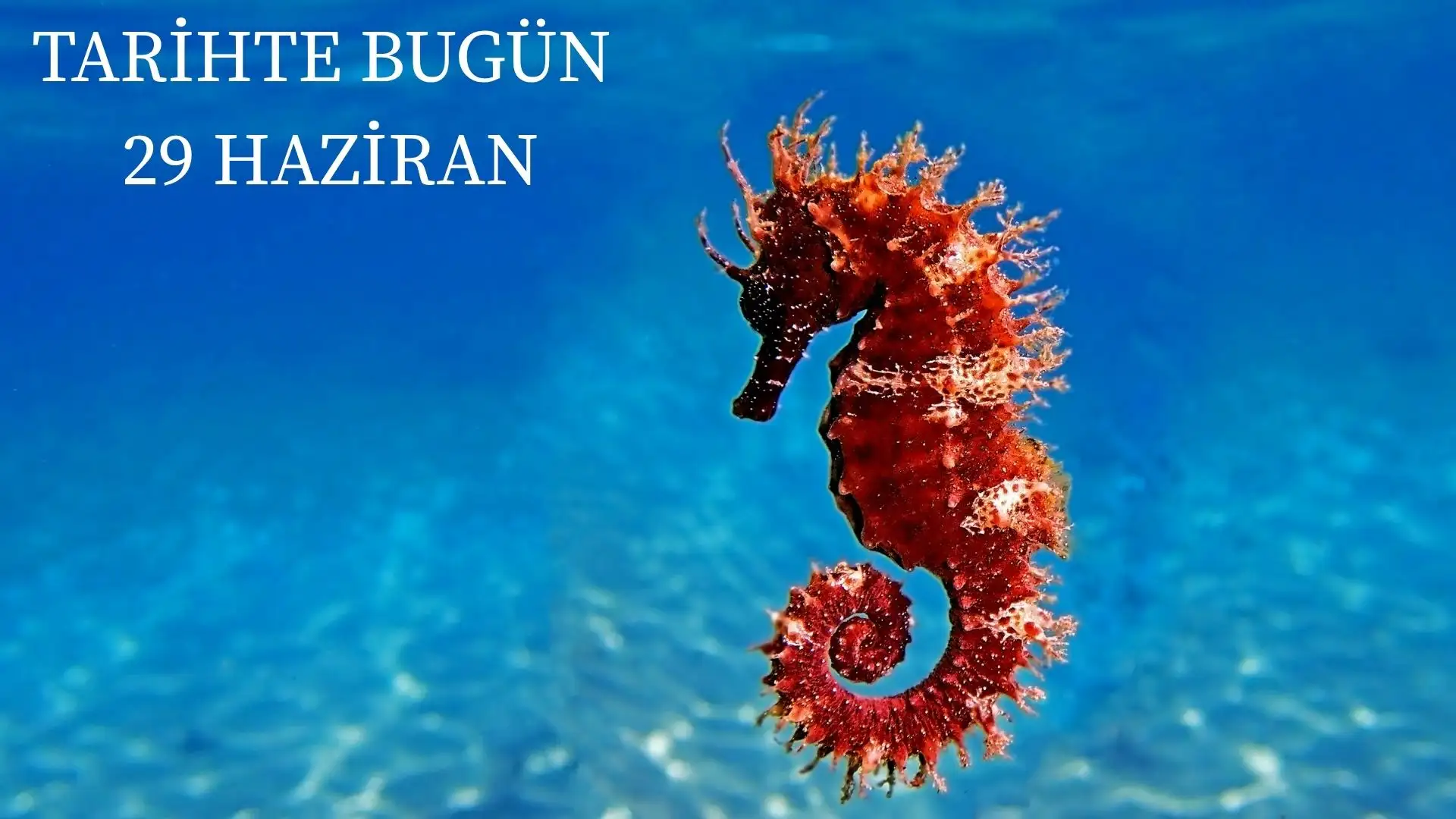 TARİHTE BUGÜN KÖŞESİ 29 HAZİRANDA TARİHTE NELER OLDU