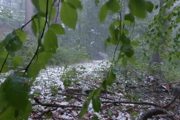 Meteoroloji'den Kastamonu ve Sinop için kuvvetli yağış uyarısı