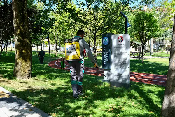 Ankara'da haşereyle mücadele çalışmaları devam ediyor