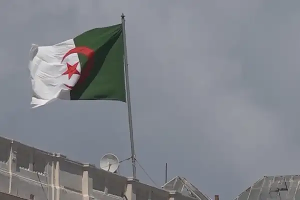 Cezayir parlamento seçimlerinde nihai sonuçlar açıklandı