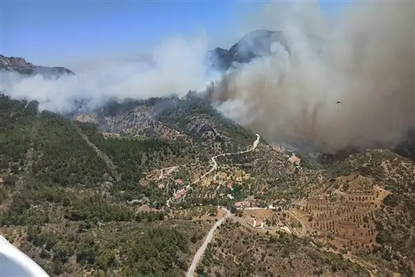 Muğla'nın Milas orman yangınına müdahale sürüyor