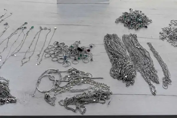 Bulgaristan'da kaçak gümüş ele geçirildi