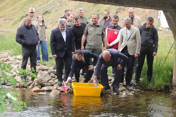 Çambaşı Deresi'ne 35 bin doğal alabalık bırakıldı