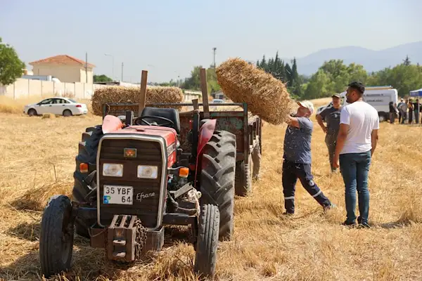 Buca’da hayvancılıkla uğraşan üreticilere saman desteği