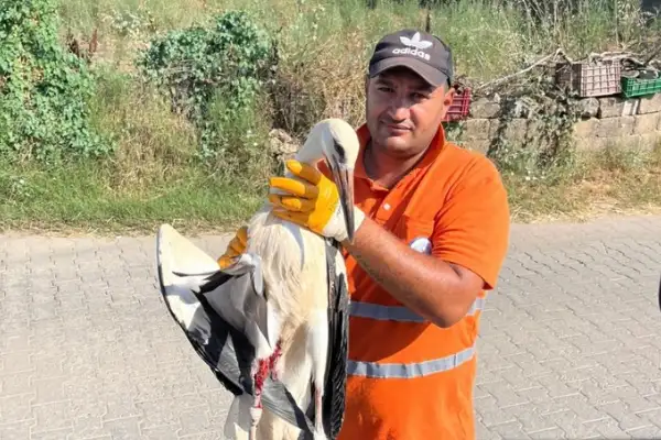 Temizlik mesaisinde yaralı leylek kurtarıldı