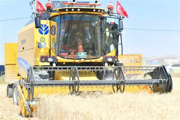 Van'da buğday hasat sezonu başladı
