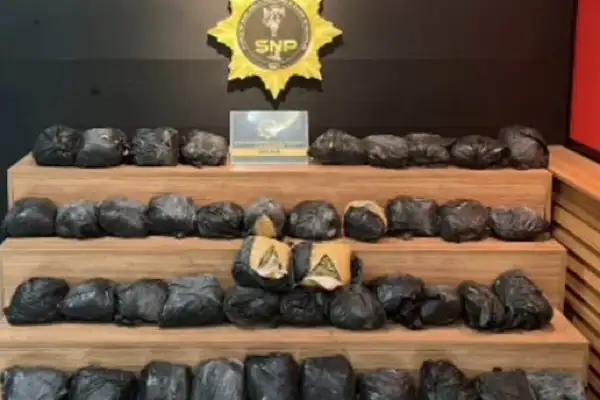 Şanlıurfa'da tır kasasında 25 kilo 100 gram uyuşturucu ele geçirildi