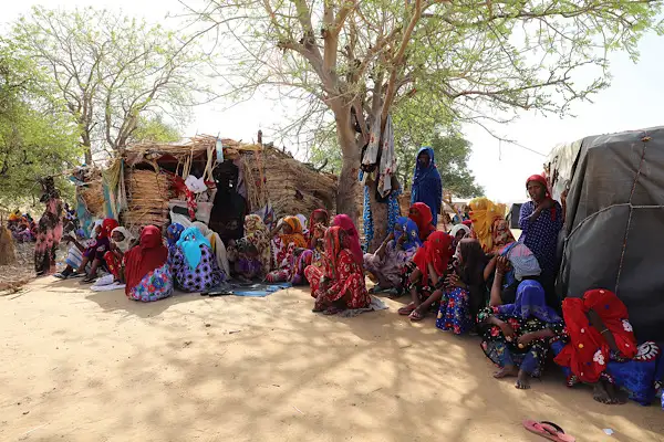 Çin’den Batı Afrika ve Sahel bölgesinde siyasi istikrarın korunması çağrısı