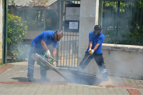 Antalya'da vektörel mücadele yıl boyunca sürdürülüyor