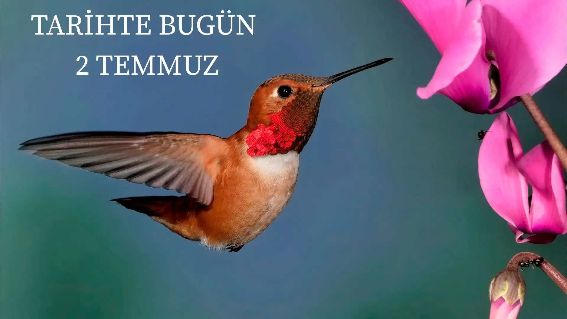 TARİHTE BUGÜN KÖŞESİ 2 TEMMUZDA TARİHTE NELER OLDU