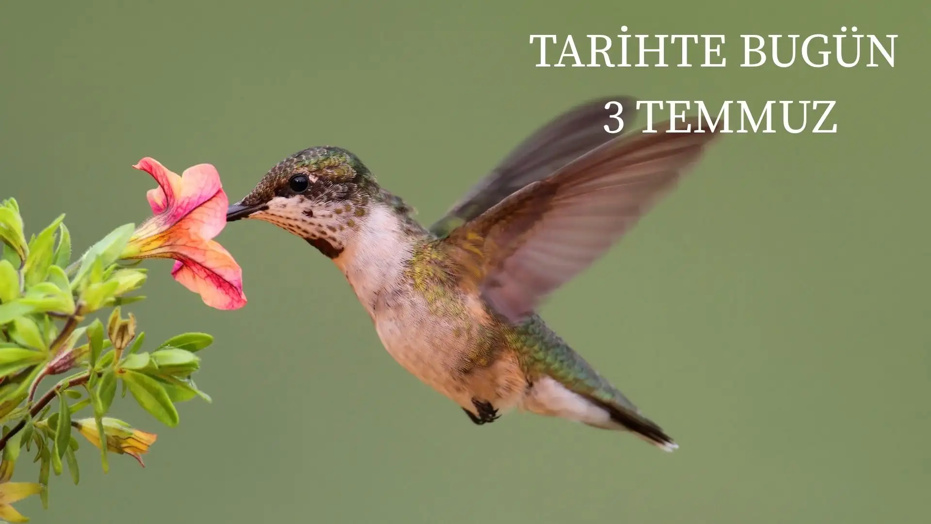TARİHTE BUGÜN KÖŞESİ 3 TEMMUZDA TARİHTE NELER OLDU